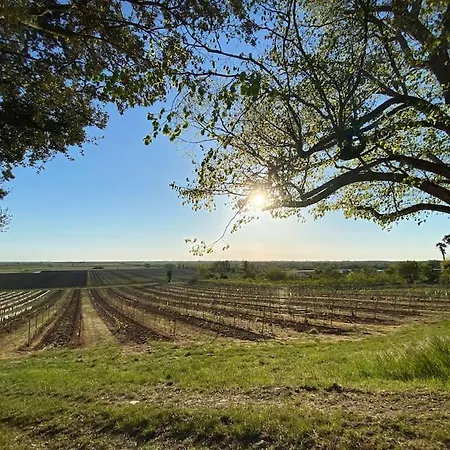 Semesterbostad Entre Vignobles Et Estuaire - 12 Pers Saint-Thomas-de-Cônac