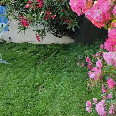 Entre Vignobles Et Estuaire - 12 Pers Ferienhaus *