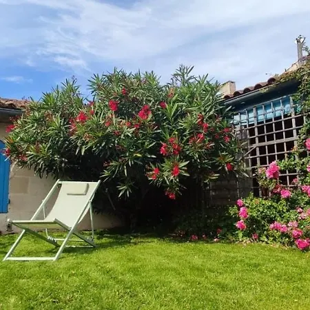 Ferienhaus Entre Vignobles Et Estuaire - 12 Pers