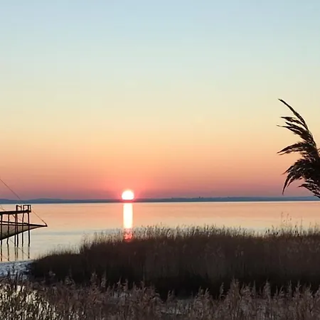 Entre Vignobles Et Estuaire - 12 Pers