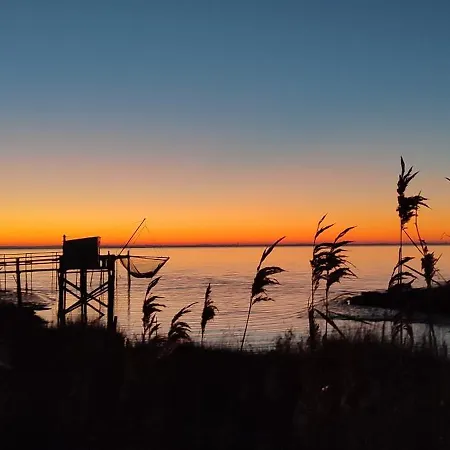 Semesterbostad Entre Vignobles Et Estuaire - 12 Pers Saint-Thomas-de-Cônac